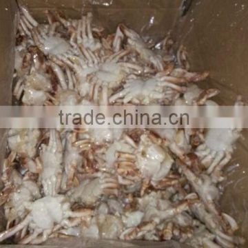 Seafood Frozen Sand Crab