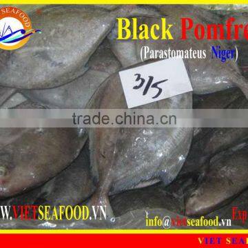 W/R FROZEN BLACK POMFRET