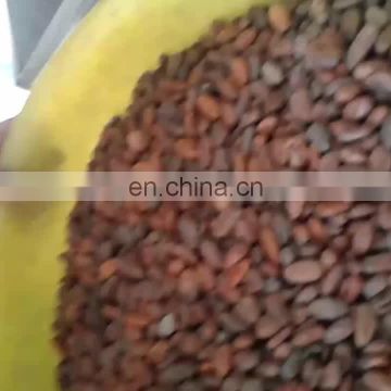 industrial electric gas cocoa bean roaster machine