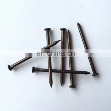 High Quality Galvanized Brick Wall Concrete Nails for Construction