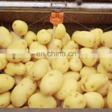 Industrial Used Potato Peeling Machine Suitable For Kinds of Root Vegetable Washing Peeling