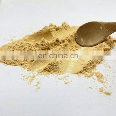 Manufacturer Supply Lion's Mane Mushroom Extract Powder