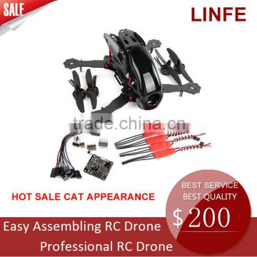 Cheap price QQ Super Flight Control system DIY Cat Drone with AT9 Remote controller