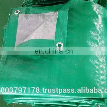 2x4m Silver & Green Tarpaulin