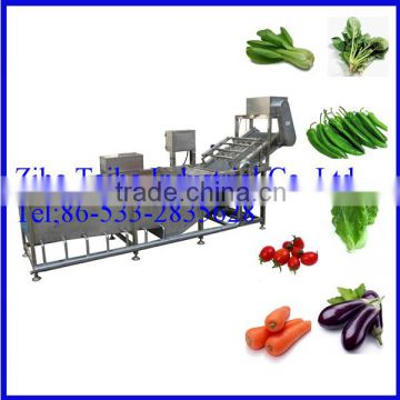 Industrial Bubble Vegetable Washing Machine Hot seling
