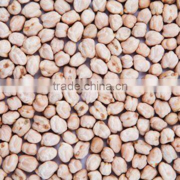 9 mm kabuli chickpeas reasonable price