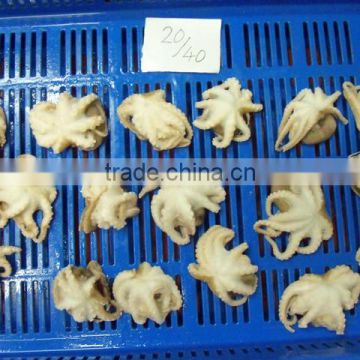 IQF Octopus Whole Cleaned