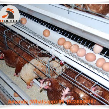 Guyana Poultry Layer Farm A Type Battery Laying Hen Cage & Chicken Coop with Automatic Egg Collection Machine 120 birds