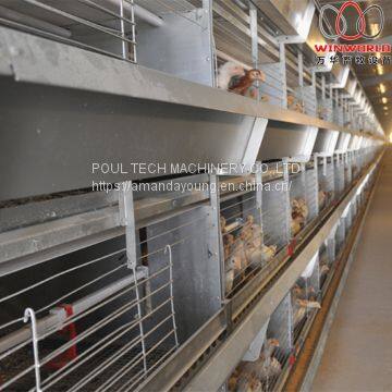 Swaziland Poultry Farm Automatic Broiler Chicken Cage & Meat Chicken Cage & Chicken Coop in Chicken Shed