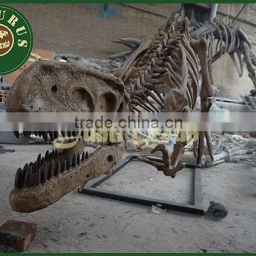 Lisaurus-JE the dig dinosaur fossil skeleton in Museum