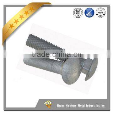 High strength Stainless steel carriage bolts with hex nuts