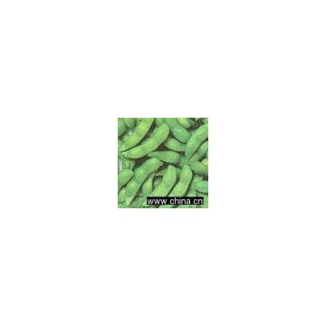 Sell Frozen Edamame in Pods