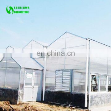 Aluminum Frame Polycarbonate Garden Greenhouse