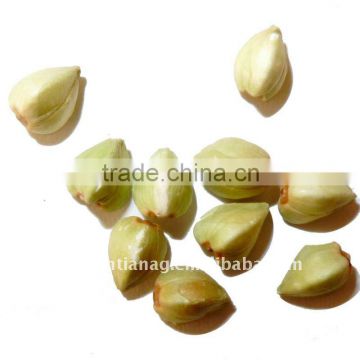 Chinese green buckwheat kernels