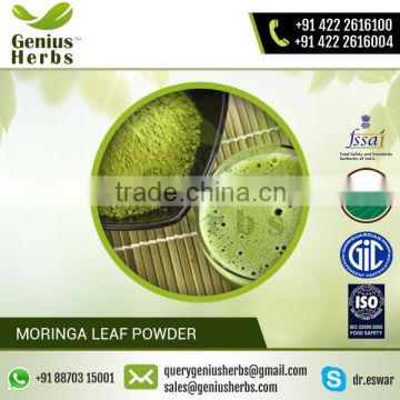 ISO Certified Anti-Tumor Organic Moringa Leaf Powder for Bulk Purchase