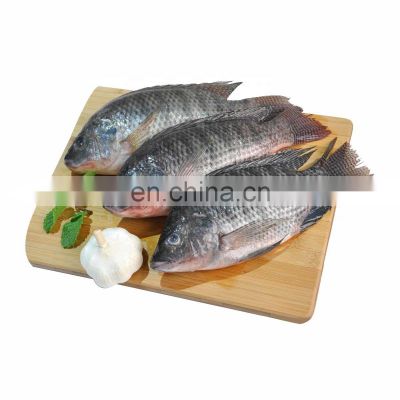 china tilapia fish frozen tilapia fish Oreochromis Niloticus