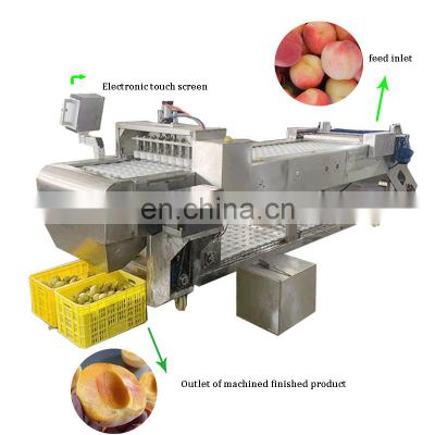 Commercial Use Fruit Stone Coring Seed Removing Plum Olive Cherry Pitter