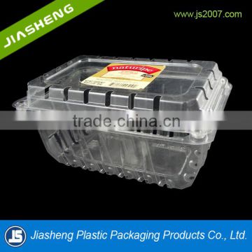 Blister small plastic clear fruit packaging box for blueberry