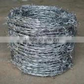 galvanized wire /galvanized iron wire