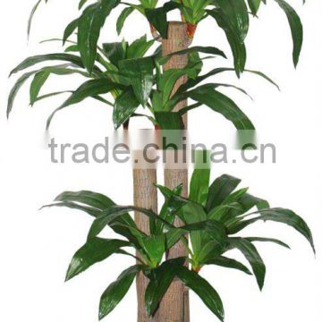 dracaena fragrans/PEVA plant/fake plant