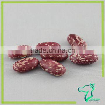 Red Speckled Kidney Bean For American Countries