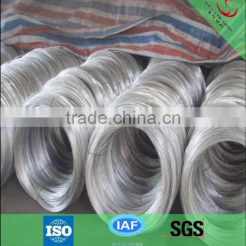 Electro/Hot Dipped Galvanized Steel Wire Factory Price