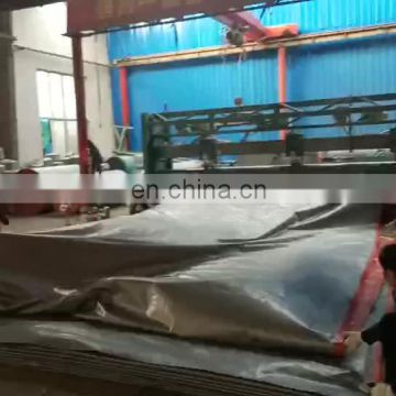 China factory 110g silver white pe tarpaulin sheet