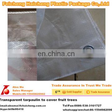 transparent tarpaulin to cover fruit trees