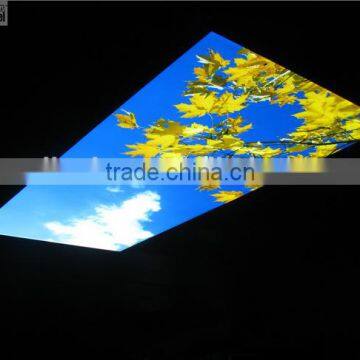 golden leave sky LED ceiling