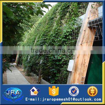 stainless steel wire rope decorative green wall climbing mesh