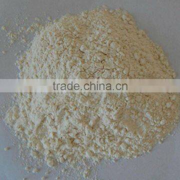 GAP/ KOSHER/ HALAL Dehydrated Garlic powder From China