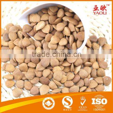 chinese bitter almond kernels