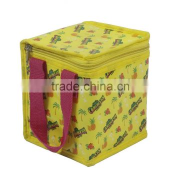Colorful Good Quality Insulated Bag Portable Cooler Bag Ice Bag