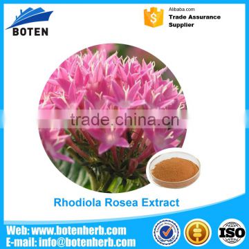 Good price of 3% Rosavin with Rhodiola Rosea Extract With Quality