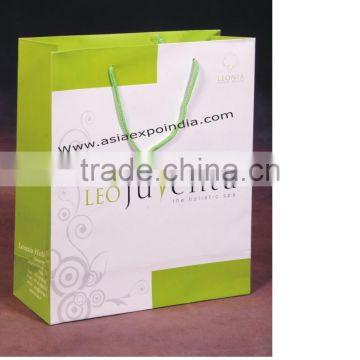 Paper Bags with customize design and glossy finish