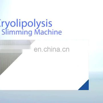 cryo lipolysis body slimming and shaping cryolipolysis equipped with 2 handles fat cooling  machine