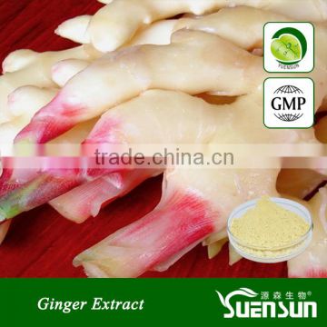 Factory direct supply ginger powder