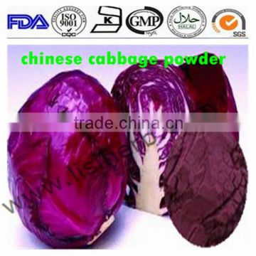 Vegetable Powder Purple Cabbage Powder