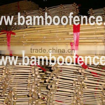 Eco-friendly Hooped Bamboo Ladder