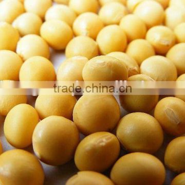soybean non gmo cheap price