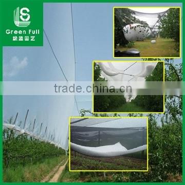 HDPE Agriculture Vineyard Plastic Apple Tree Anti Hail Net                        
                                                                                Supplier's Choice