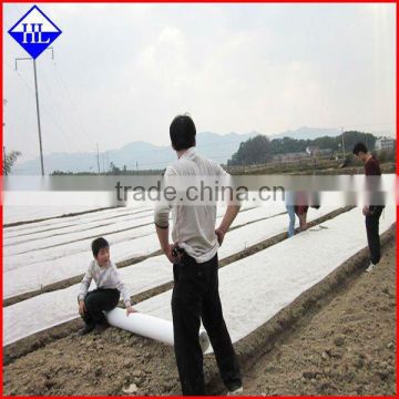 Biodegradable Root control PP nonwoven
