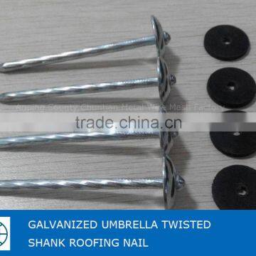 Galvanized Umbrella Head Roofing Nail 2.5" to 4" For Construction