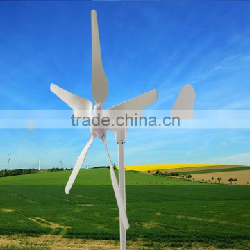 Hot sale home use 600w small windmill water pump