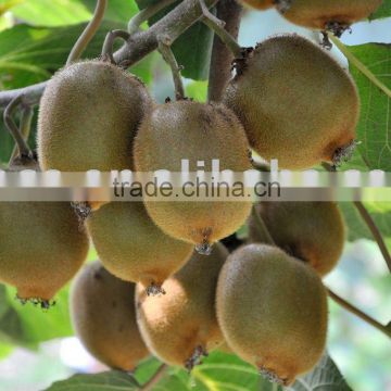 yete kiwifruit