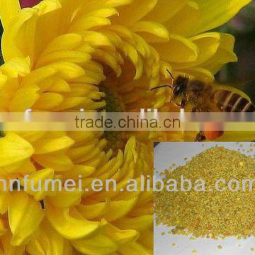 pollen wholesale natural sunflower beepollen factory