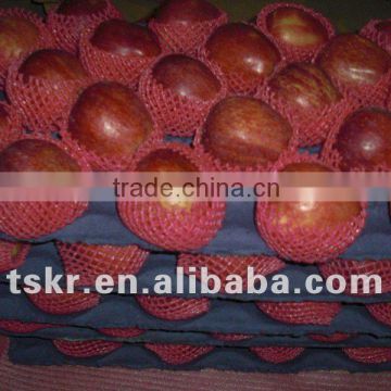 fresh apple fruit for sale red apple fuji