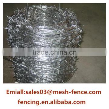 HOT SALE BWG16 Single Electric Galvanzied Barbed Wire(Anping XL Factory)