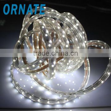 Factory direct sale high voltage AC110/220V Led strip RGB smd 5050 IP67 with CE&ROHS