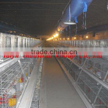 TAIYU Broiler Chicken Cage For Poultry Farm For Nigeria